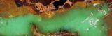 Polished Green Chrysoprase Slab - Western Australia #95222-1
